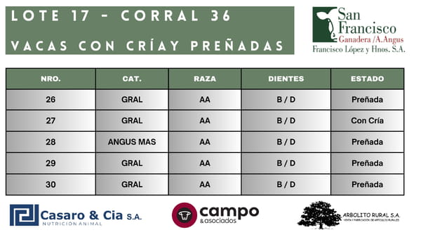 Lote Vacas con Cría y Preñadas San Francisco
