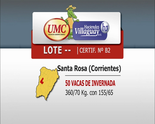 Lote 50 Vacas de invernar en Mercedes, Corrientes