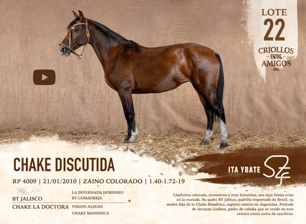 Lote CHAKE DISCUTIDA RP 4009
