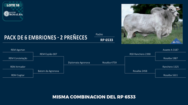 Lote LOTE 18