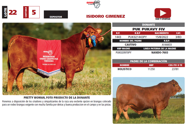 Lote LOTE 22