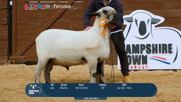 Lote LOTE 68  - BOZAL