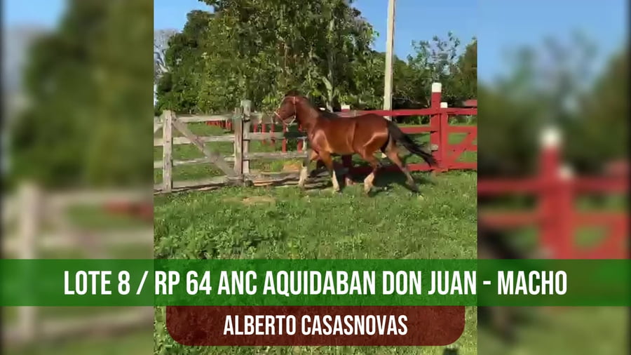 Lote ANC AQUIDABAN DON JUAN
