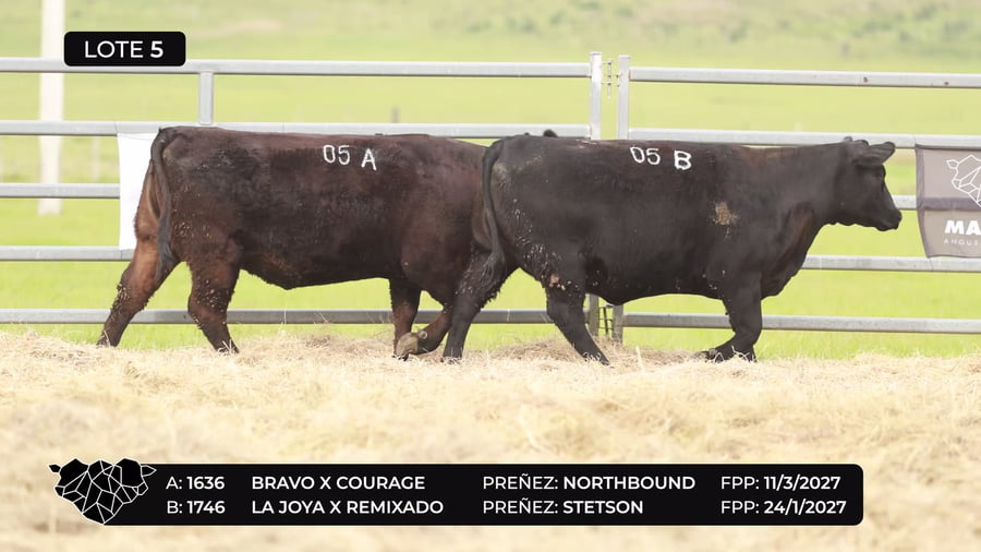 Lote Lote 05-B