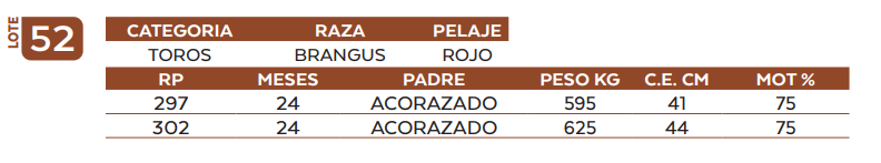 Lote LOTE 52