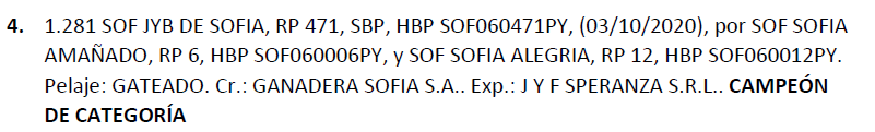 Lote LOTE 4