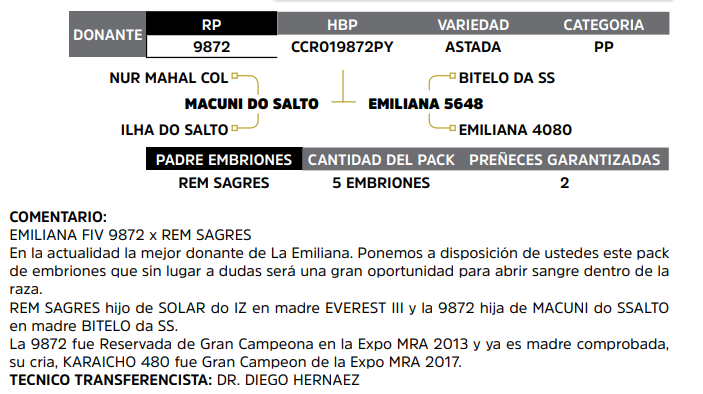 Lote LOTE 32