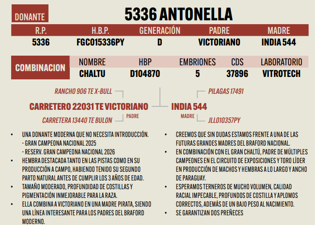 Lote LOTE 2