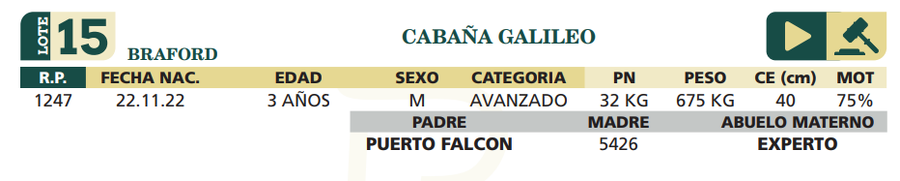 Lote LOTE 15