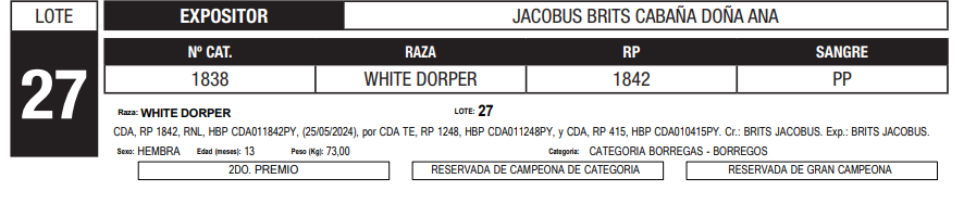 Lote LOTE 27
