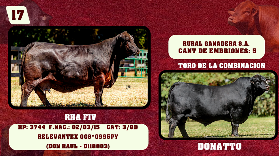 Lote LOTE 17