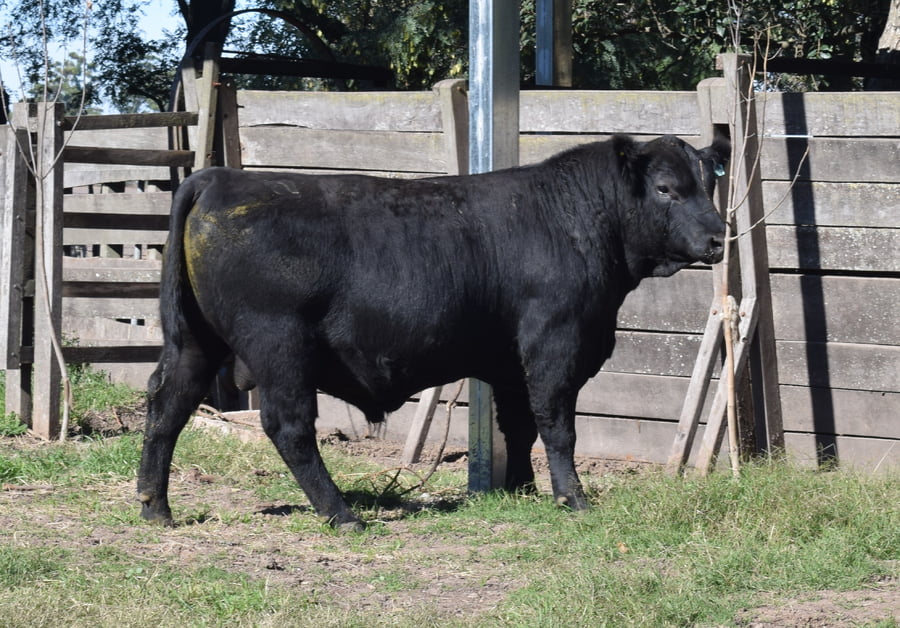 Lote CABAÑA “COEMBOTÁ” de Calderón RP 139