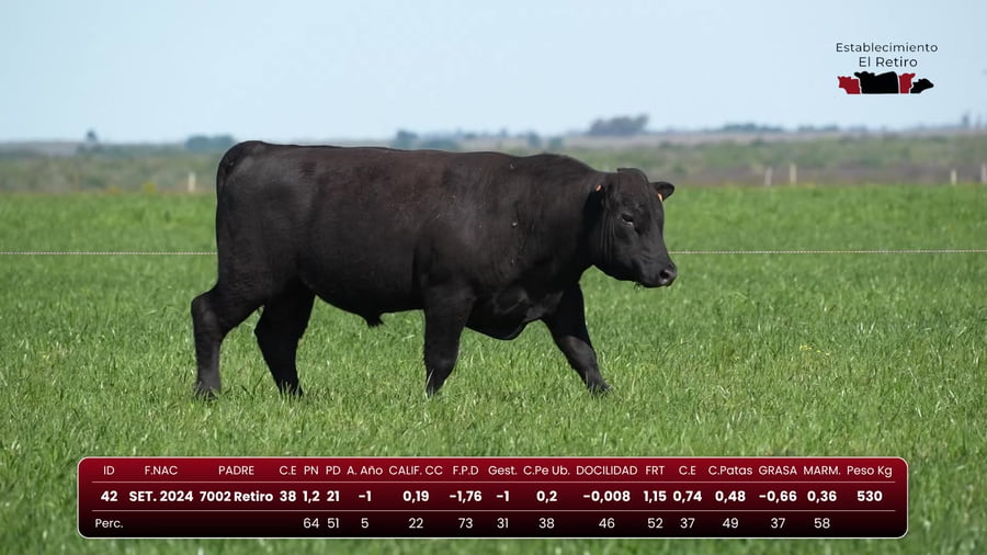 Lote RP 42