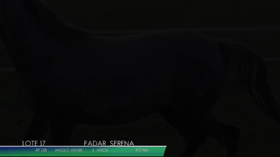 Lote FADAR SERENA