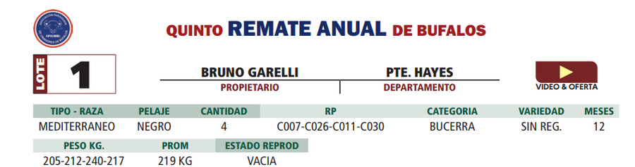 Lote LOTE 1