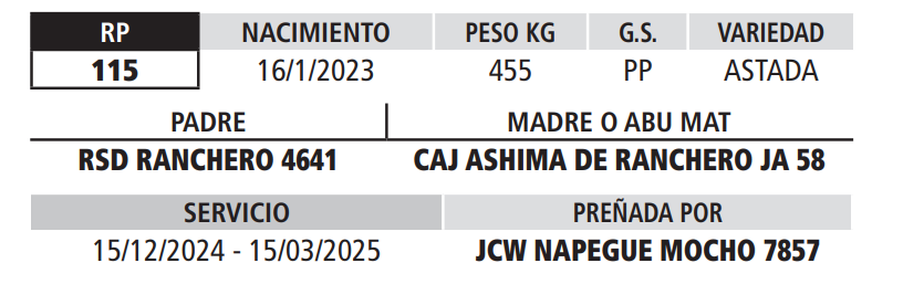 Lote LOTE 12