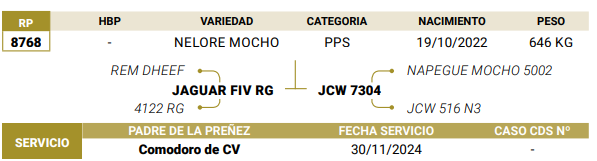 Lote LOTE 63