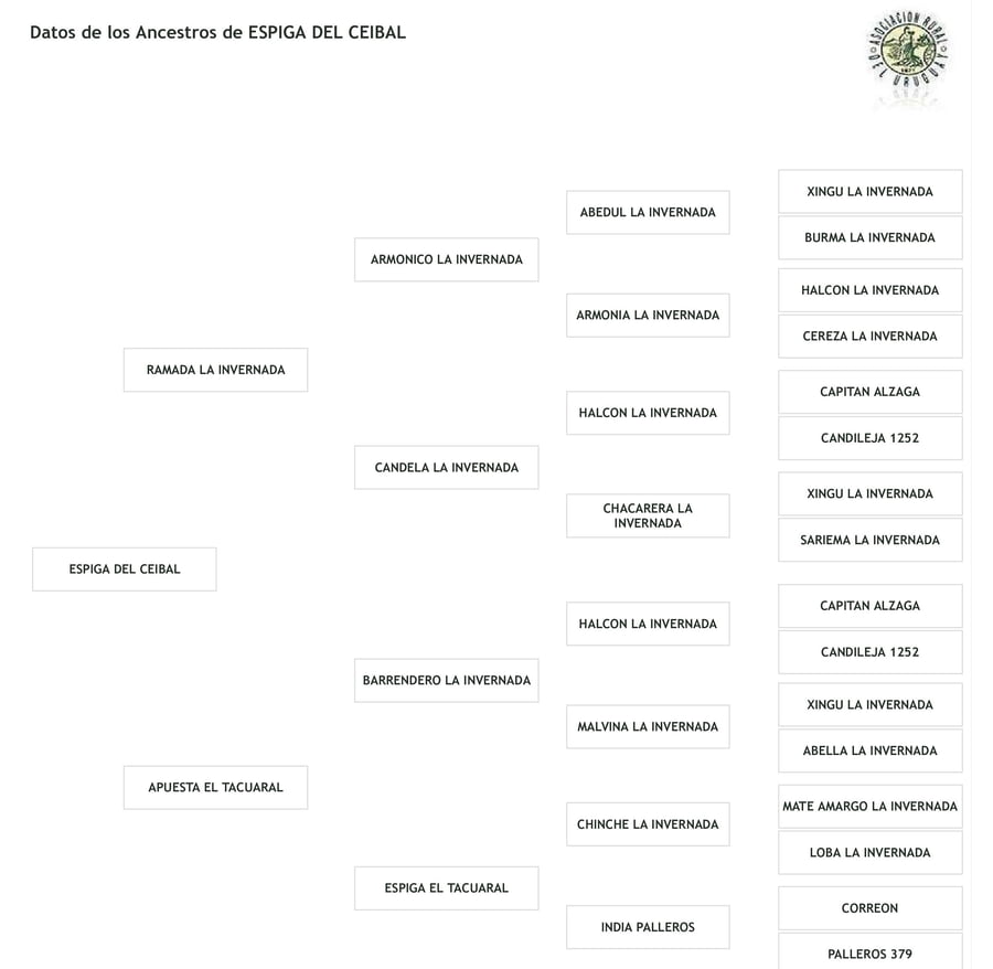 Lote Cabaña "Los Ceibos" - RP 283 - ESPIGA DEL CEIBAL