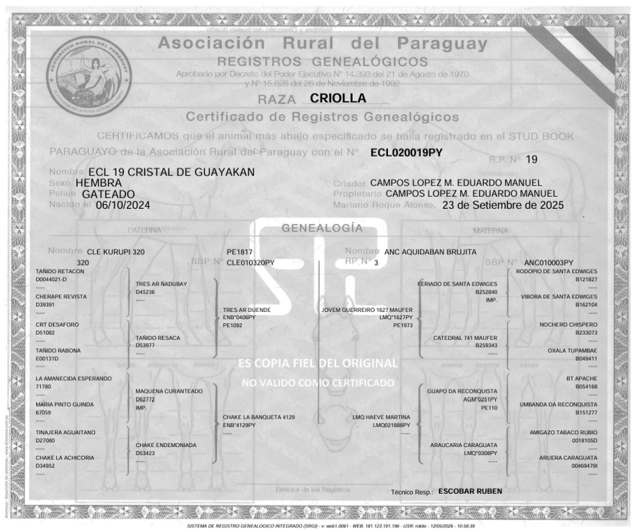 Lote LOTE 29- DE BOZAL