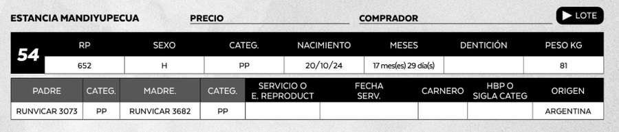 Lote LOTE 54