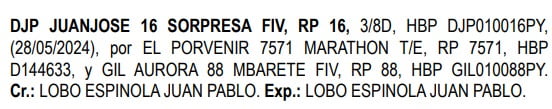 Lote LOTE 7