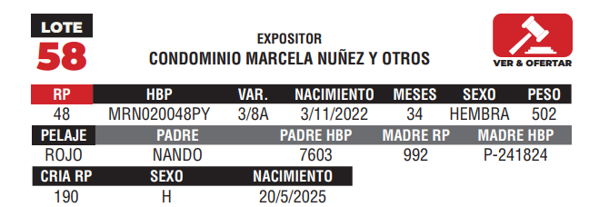 Lote LOTE 58 - CAMPO