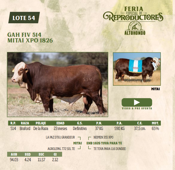 Lote LOTE 54