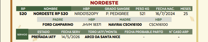 Lote LOTE 33