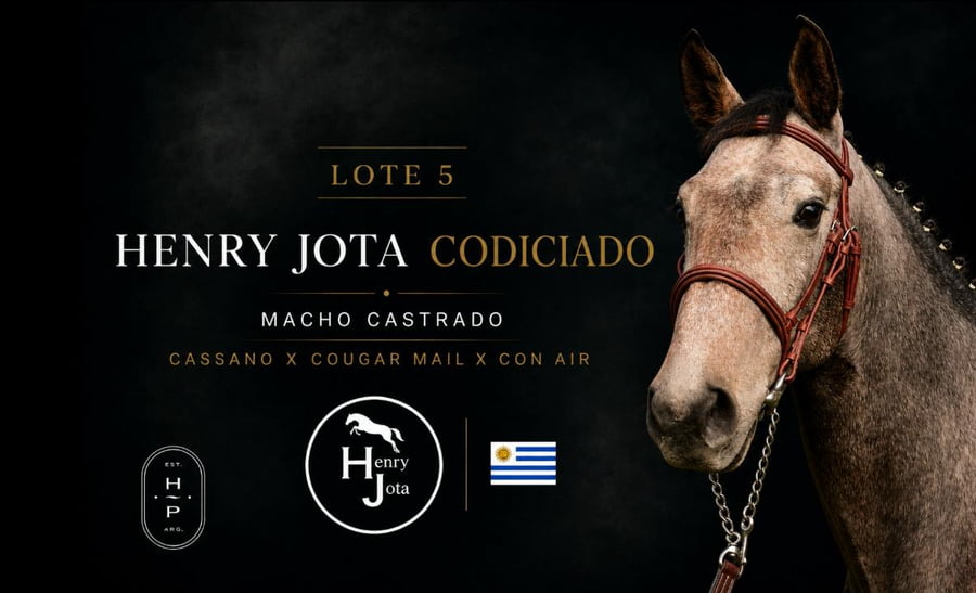 Lote HENRY JOTA CODICIADO