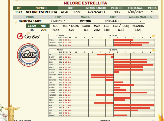 Lote LOTE 6
