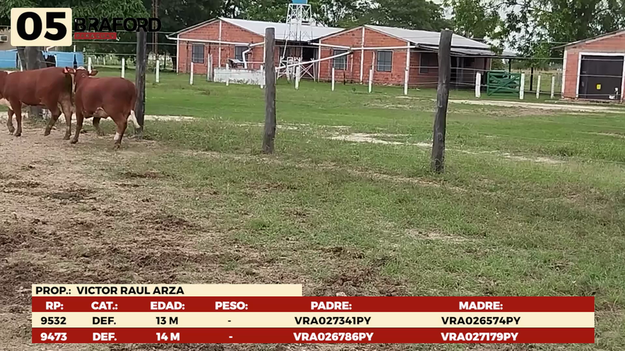 Lote LOTE 5