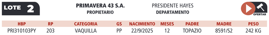 Lote LOTE 2
