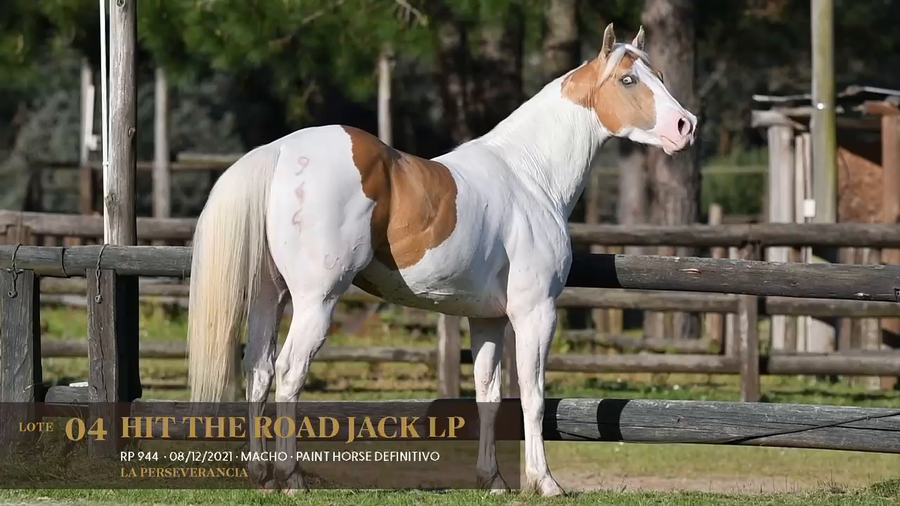 Lote Hit The Road Jack LP