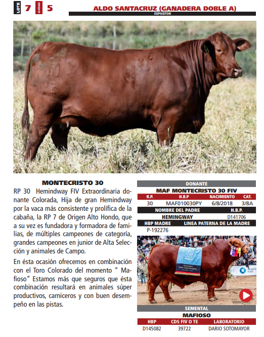 Lote LOTE 7