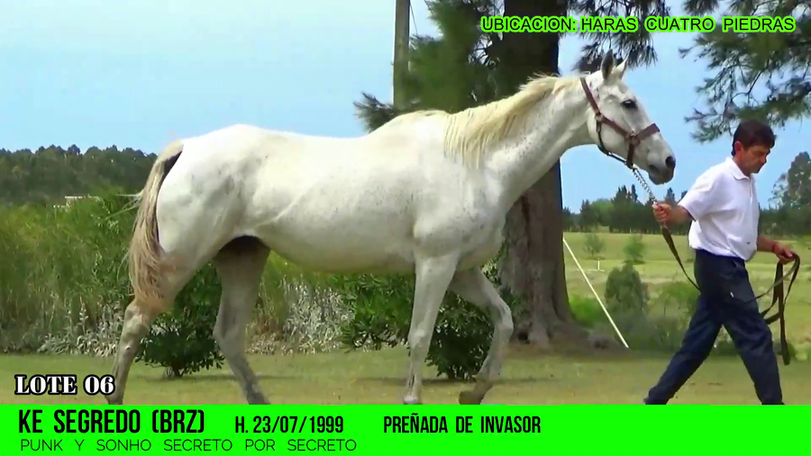 Lote KE SEGREDO