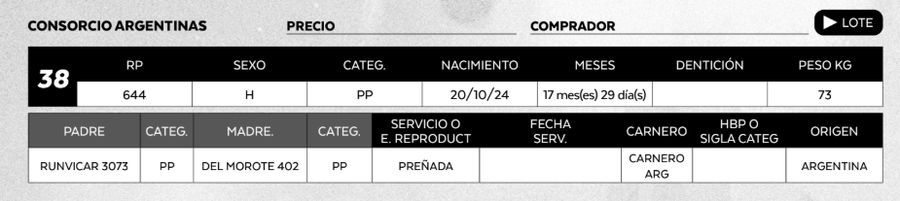 Lote LOTE 38