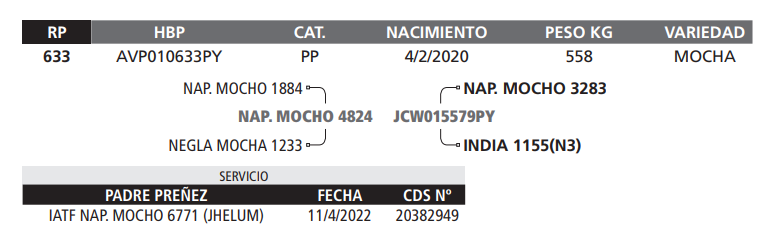 Lote LOTE 15