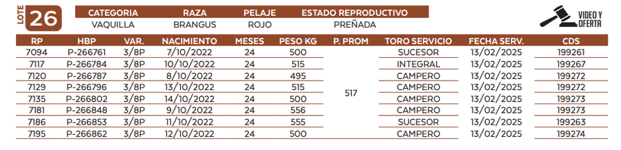 Lote LOTE 26