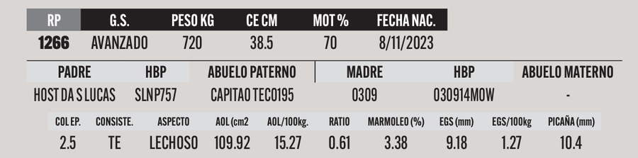Lote LOTE 9