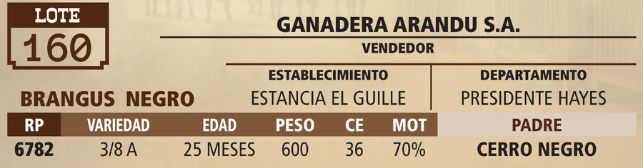 Lote LOTE 160 - VIVO