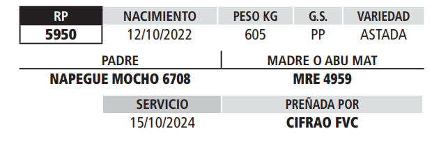 Lote LOTE 25