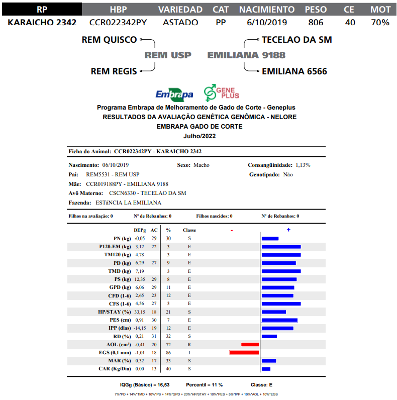 Lote LOTE 11  RP K2342