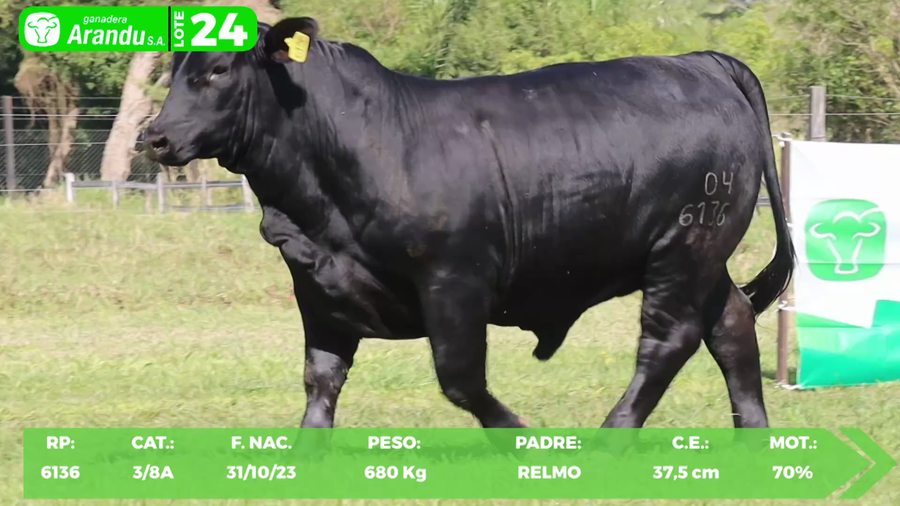 Lote LOTE 24