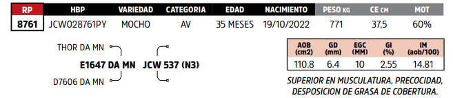 Lote LOTE 14