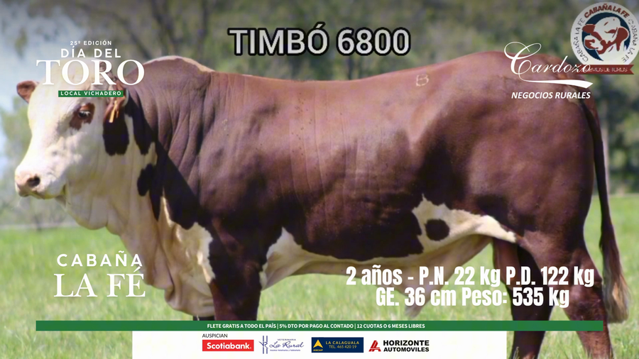 Lote Cabaña de la fe - Braford