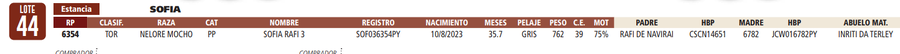 Lote LOTE 44
