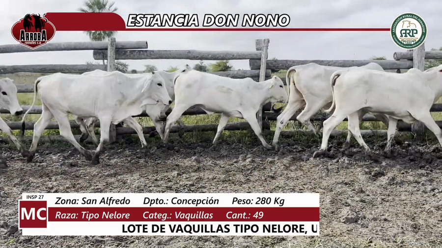 Lote Estancia Don Nono