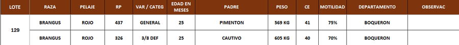Lote LOTE 129