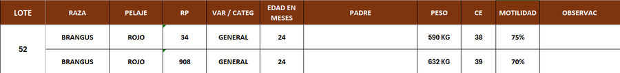 Lote LOTE 52