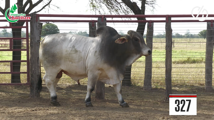 Lote Brahman